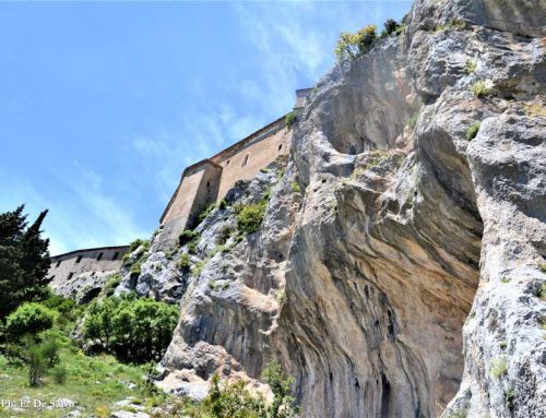 Wild Calabria: Natura Mediterranea e Panorami Unici